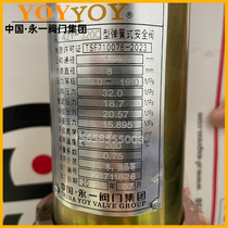 Yongyi valve A41 A42Y-160C 320C P R nitrogen hydrogen ammonia spring type full-open high pressure safety