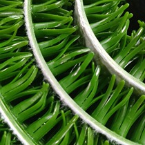 Direct selling gold digging grass golden grass golden grass golden grass felt gold blanket gold blanket back rate gold grass