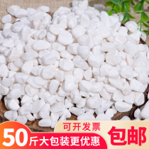 Zhejiang 50 pounds white stone cobblestone white stone succulent paving courtyard landscaping rain flower stone goose soft warm stone decoration