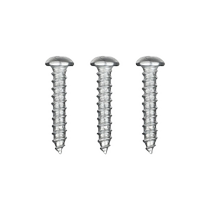 Meter box matching screws 4*20