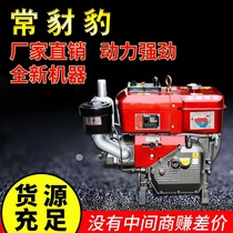 China Changzhou marine agricultural horizontal bar water-cooled electric start 10 horsepower ZS direct injection 192 diesel engine factory direct supply
