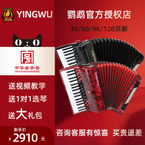 Parrot accordion instrument playing beginner accordion 60 96 120 bass three or four row reed accordion
