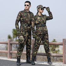 Dunlang outdoor cotton polyester twill camouflage suit male special forces training military training performance field labor protection overalls