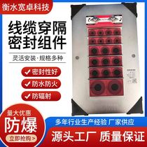 Cable penetration sealing assembly waterproof explosion-proof fire-proof anti-explosion hole sealing and embedded device manufacturer