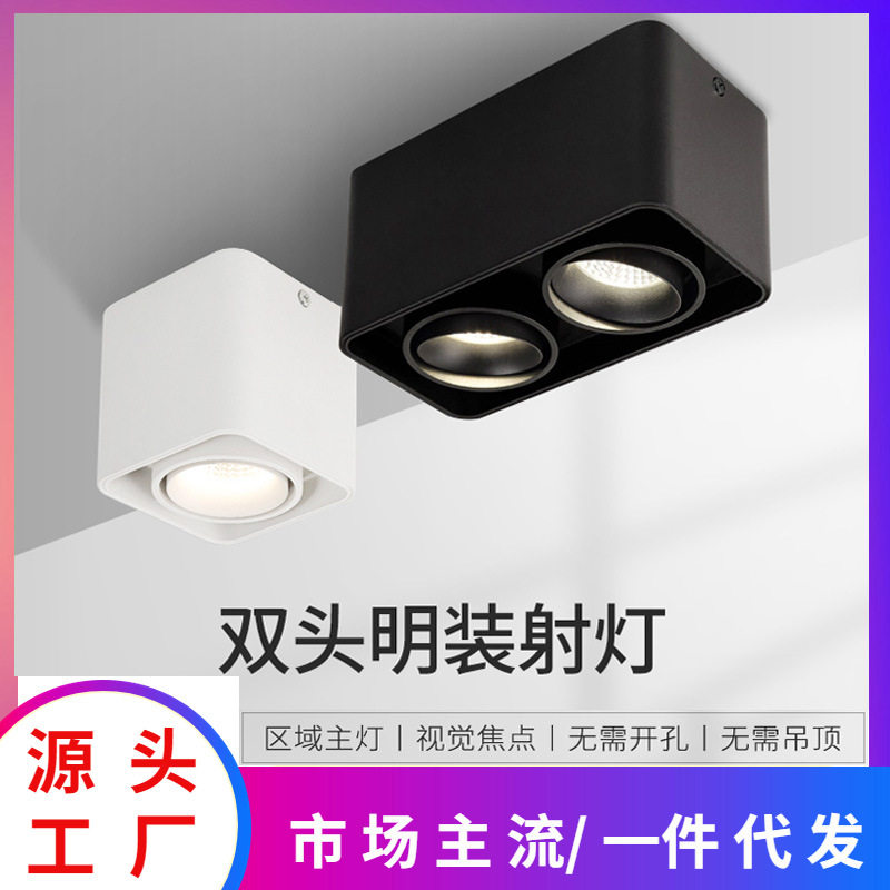 Surface-mounted double-head spotlight led ceiling lamp ceiling-type bold lamp living room downlight bedroom square no main light lighting