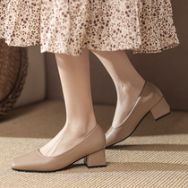 Shoes 2024 Spring New Womens Korean Style Simple Fashion Square Toe Shallow Mouth Thick Heel Medium Heel Womens Fashion Shoes