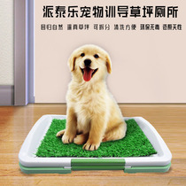 Pet supplies training toilet dog toilet with lawn pet mat plastic dog toilet potty urinal