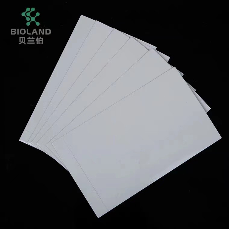 Bioland贝兰伯深孔板封板膜压敏膜无菌压敏膜无酶无热源
