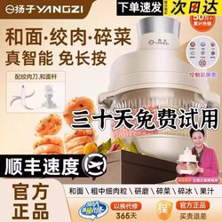 Yangzi multifunctional Meat grinder 5L large capacity For Home and noodle machine automatic kitchen food supplement cooking machine.
