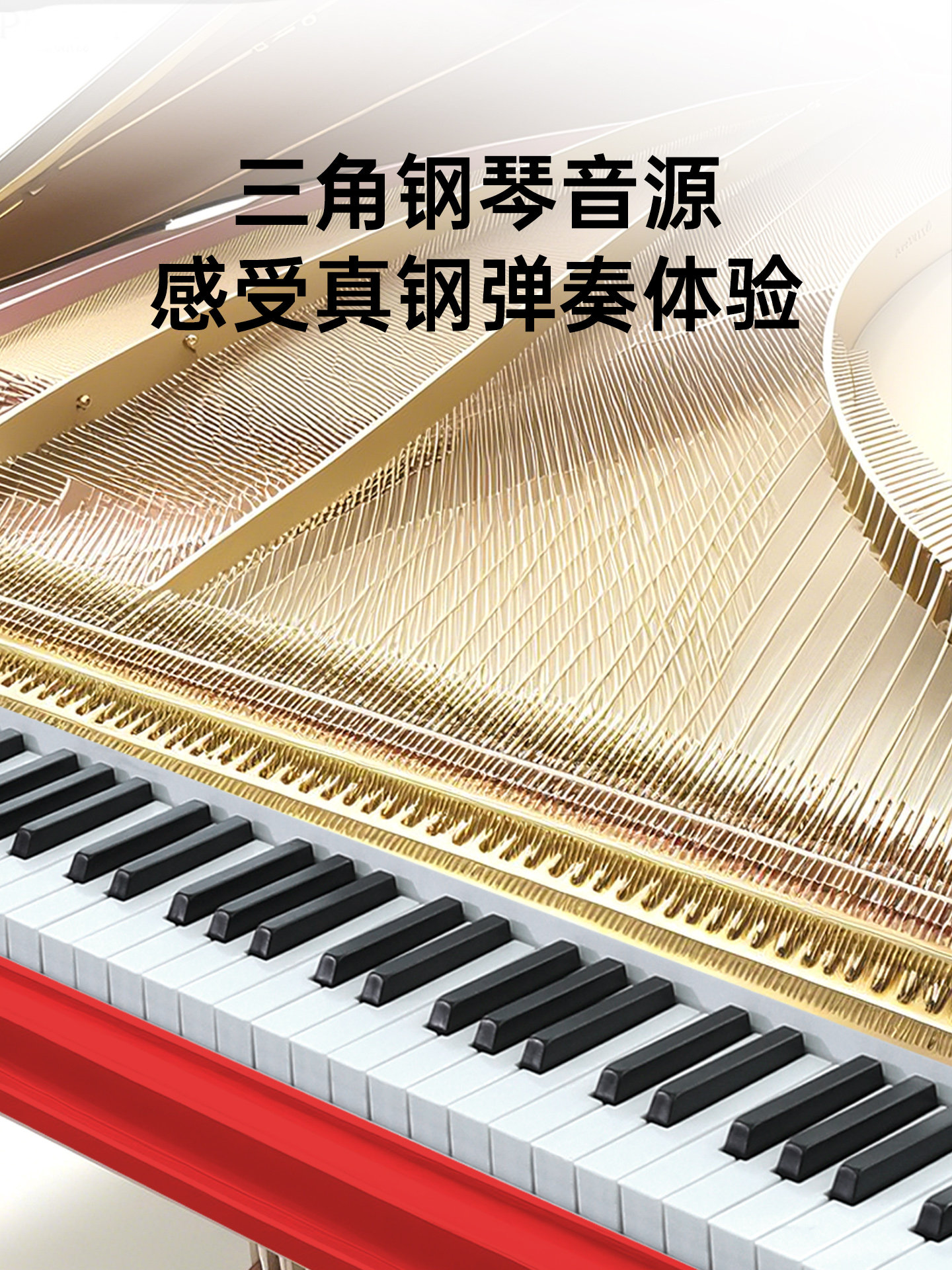 Beiduochen Foldable Electric Piano 88-Key Weighted Portable Electronic Keyboard for Beginners and Professionals, Alternative to Hand-Rolled Piano