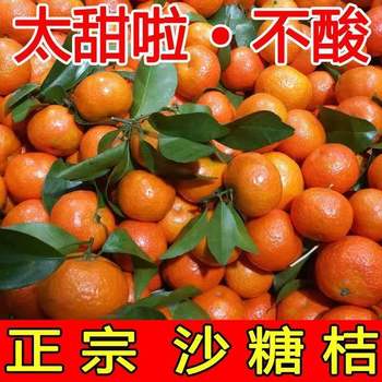 Guangxi golden autumn sugar orange burst sweet sugar orange fresh fruit fresh orange pregnant women fruit 5jin jin is equal to 0.5kg whole box