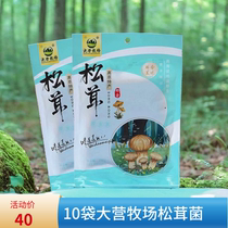 10 bags of Yunnan Lijiang Dali specialty matsutake mushroom 200g bag Daying Ranch oil matsutake instant mushrooms