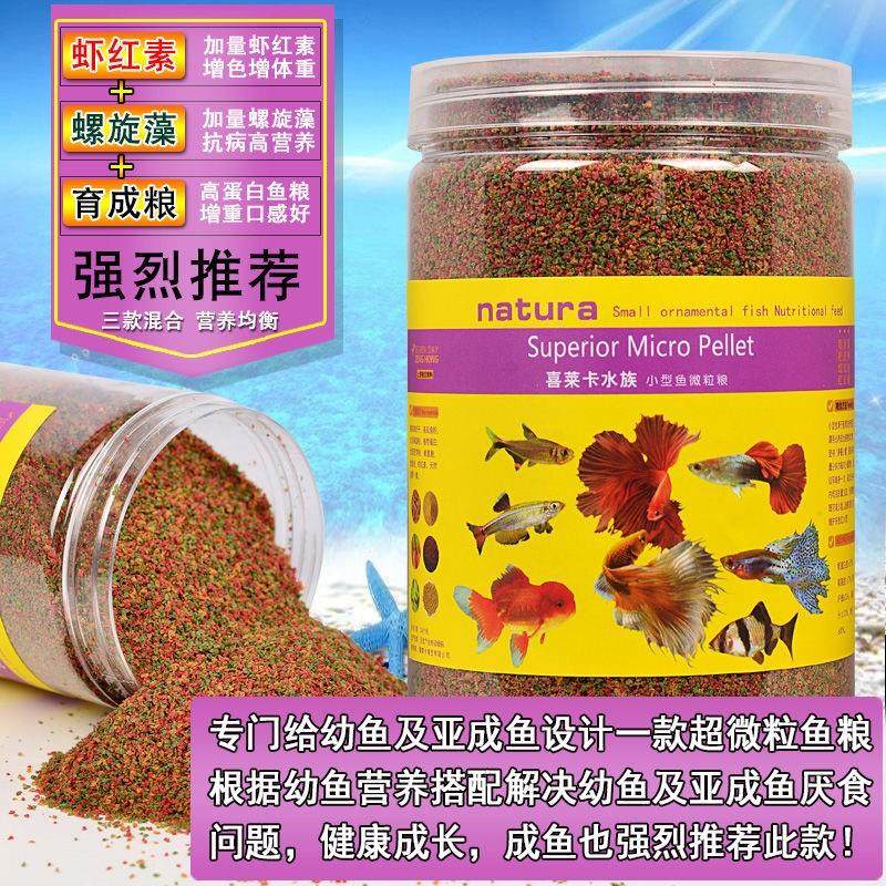 海水鱼的市场趋势与批发攻略