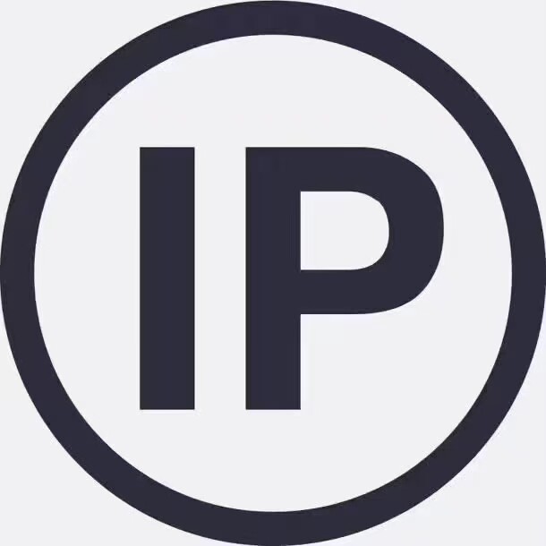 socks5独享游戏ip的LOGO