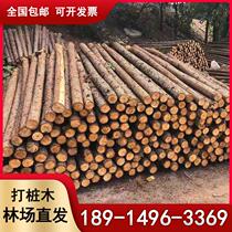 Yunnan pine pile piling wood fir pile larch river wood pile log flood control slope protection greening support rod round