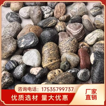 Shanxi river pebbles river beach stone transformer station river pebbles spot pebble filter material cobblestone river stone for substation