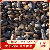 Shandong river pebbles river beach stones transformer station river pebbles garden park paving courtyard villa landscaping pebbles