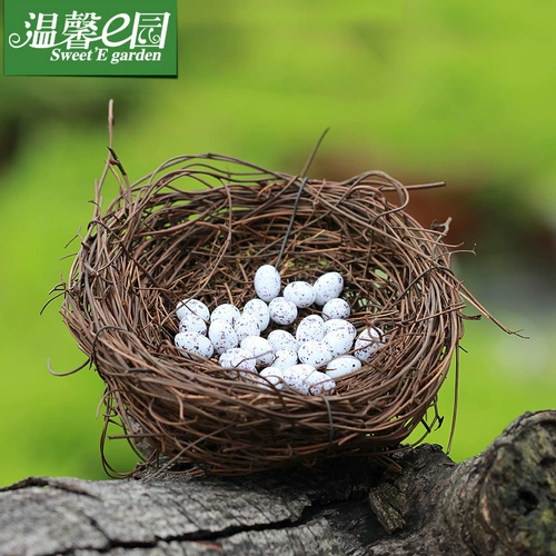 Образцы могут быть обработаны для изготовления орнаментов микроландшафта из мха, счастливых птичьих гнезд, птичьих яиц, ландшафтных украшений своими руками, аксессуаров и ювелирных изделий.