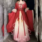 Женские женские и южные династии Hanfu