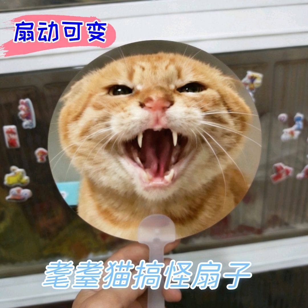 耄耋光栅卡扇子猫猫叫变表情光栅扇夏季便携搞怪小猫叫手持清凉扇_动漫挂件_淘宝游戏网
