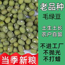 This year’s new goods are the old variety of mung beans cereals mung beans and mung beans grown by farmers in northern Jiangsu.