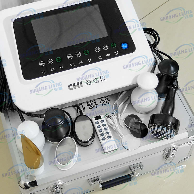 Evergreen China BIO Vitality Plant Meridian Instrument официальный флагманский магазин двухтомного электротерапевтического инструмента Meridian dredge с ценностью жизненной силы CHI