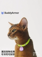 Buddyarmor Cats Small Dog, в списке домашних животных, анти -разбросанные гравированные слова бренд бирки кошки и ювелирные аксессуары для собак