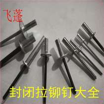 Large cap countersunk head closed rivet waterproof closed closed core blind rivet pull rivet pull rivet