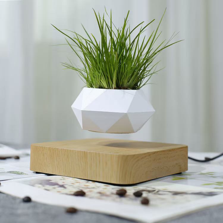 Magnetic Levitation Green Plant Potted Ornaments, Living Room Decorations, Office Desktop Creative Gifts for Girlfriends and Besties Magnetic Levitation Green Plant Potted Ornaments, Living Room Decorations, Office Desktop Creative Gifts for Girlfriends and Besties