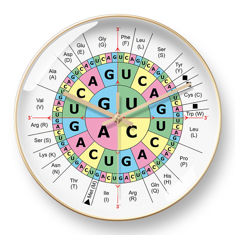 Chord Wheel Clock, Guitar Clock, Circle of Fifths, Automatic Time Setting Clock, Music Creation, Recording Studio, Silent Radio Clock