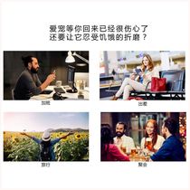 Direct sales (voice and video) automatic cat feeder timed and quantitative intelligent feeder pet food basin integrated