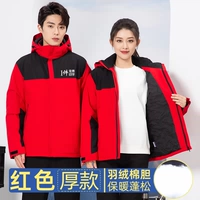 Красный съёмный вкладыш с пухом