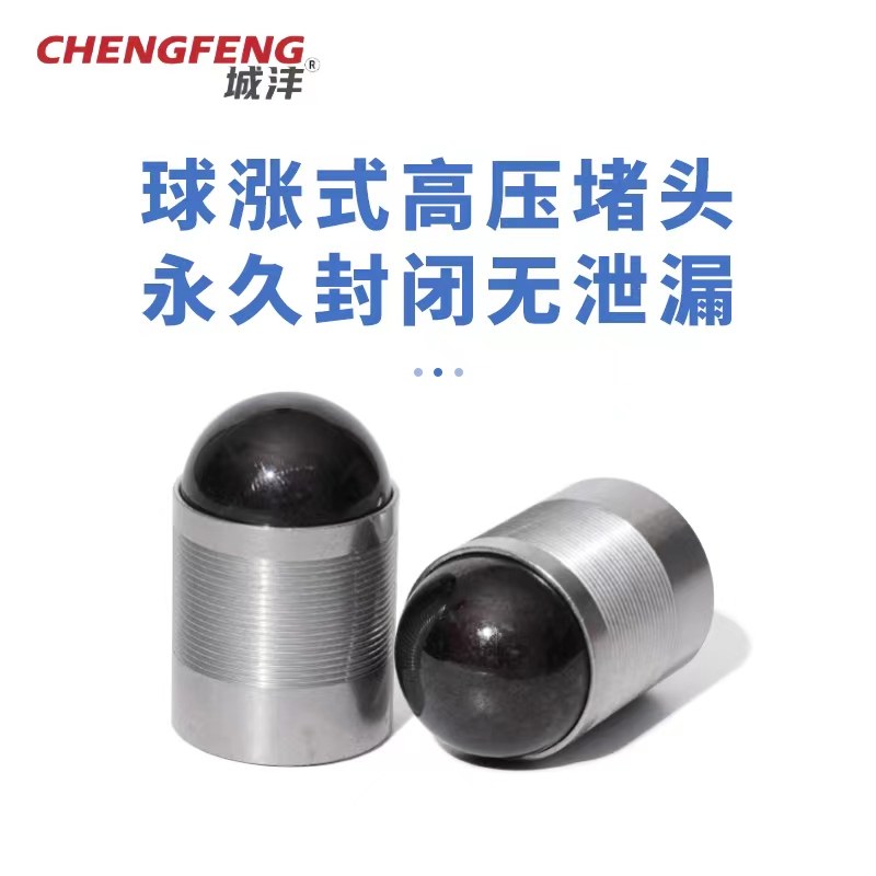 球涨式高压堵头：工业界的超级守护神！️