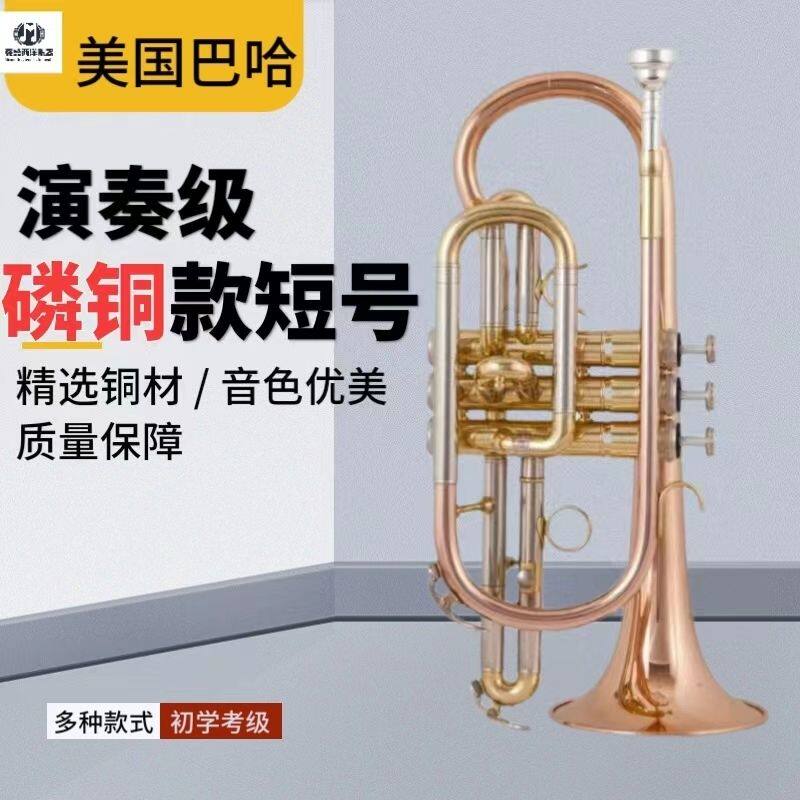 American Baha'is B minor instrument Short number of instruments Short number of junior high school level professional playing upscale-Taobao