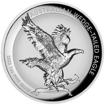 Spot Australia 2023 Raptor Wedgehawk Double concave high relief and thickened 1 ounce silver coin