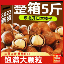 Hazelnut Northeast Specialty 2023 New Arrival Fresh Dazhenzi Stir-fried Wild Open Raw
