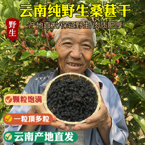 Dried mulberries 500g Yunnan black mulberries are preferred for making tea and drinking ready-to-eat wild mulberry dried black mulberry tea seeds