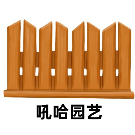 吼哈e甄选