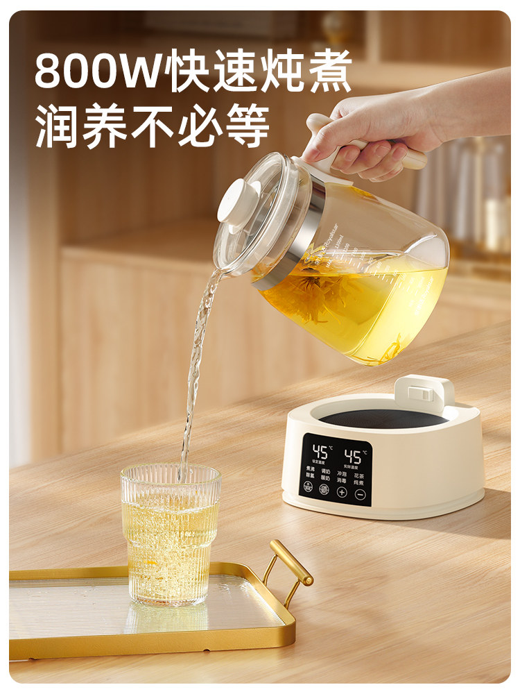 Royalstar Tea Kettle 2025 New Model Small Office Hot Water Kettle Household All-Glass Health Kettle for Boiling and Simmering