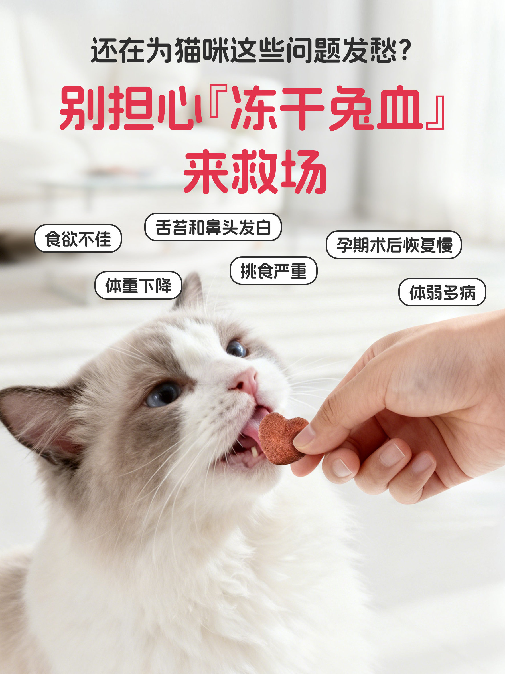 Freeze-Dried Cat Snacks, Chicken and Rabbit Blood Clots, Nutritional Energy Supplement for Pets, Dog Training Reward Meat Chunks, Cat Food