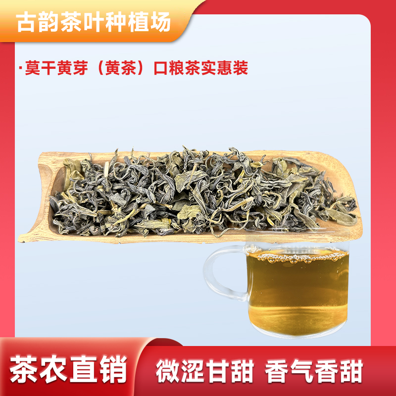 2023莫干黄芽黄茶口粮茶莫干黄茶高端黄大茶特产正宗黄大茶口粮茶