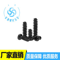 M2-M4PT black plated cross round head self-tapping flat tail pan head cross cut tail screw round head slotted screw