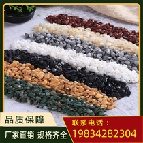 Jiangxi colored small grain stone floor exterior wall washed stone washed stone adhesive stone material washed rice stone multicolored