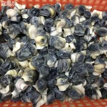 Large quantity 2 pounds of fresh extra large field snail meat screw meat snail meat freshly picked shelled and clean meat for restaurants