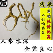 Wild Mountain Participation Next 20 years Chinese herbal medicine Ginseng ginseng Changbai Mountain ginseng Herbal Tea