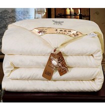 New spring and autumn air conditioning quilt silk cotton quilt winter quilt core quilt double 15m18x2x22x2x24 meters