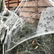 Halloween Decoration Spider Cotton Spider Web Haunted House Secret Room Spider Silk Horror Scene Atmosphere Decoration Props