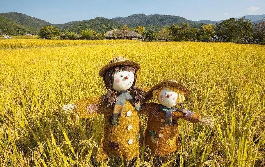 稻草人手工制作工艺品编制定制