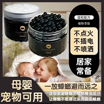 (Factory direct sales) New Sensational Black Anti-cockroach Plant Safe for Mother and Baby Home Suitable for Kitchen Bedroom and Bathroom H6