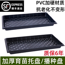 Flat tray nursery tray tray trays without hole tray Tray Nursery Tray Nursery Tray Assorted Pallet Universal Trays